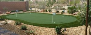 Backyard putting green with holes and flags.