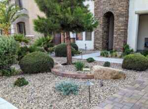 Trees Plants Landscapers LV