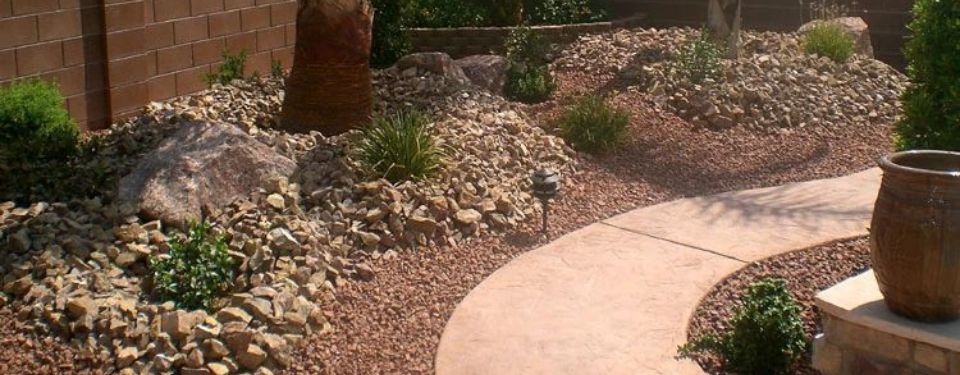 Desert Landscaping & Xeriscapes
