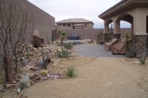 Xeriscapes In Las Vegas Backyard